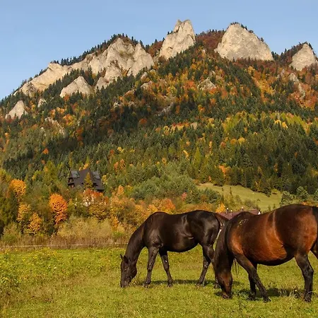 Alojamento de Acomodação e Pequeno-almoço Schronisko Pttk Trzy Korony