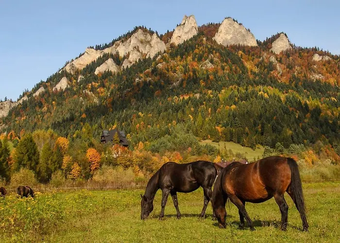 Oda ve Kahvaltı Schronisko Pttk Trzy Korony